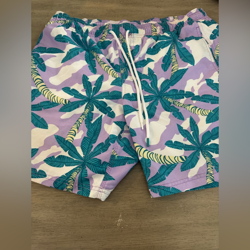 Sundek Purple and Teal Swim Shorts‎